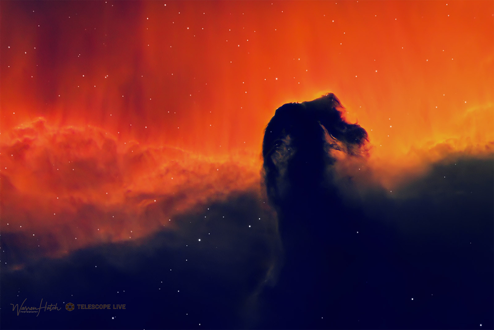 Horsehead Nebula Telescope Live